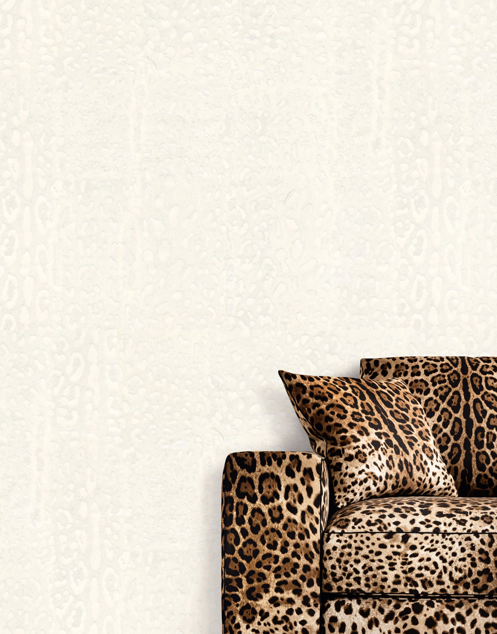 Dolce & Gabbana Casa TCW007TCAI9UL001